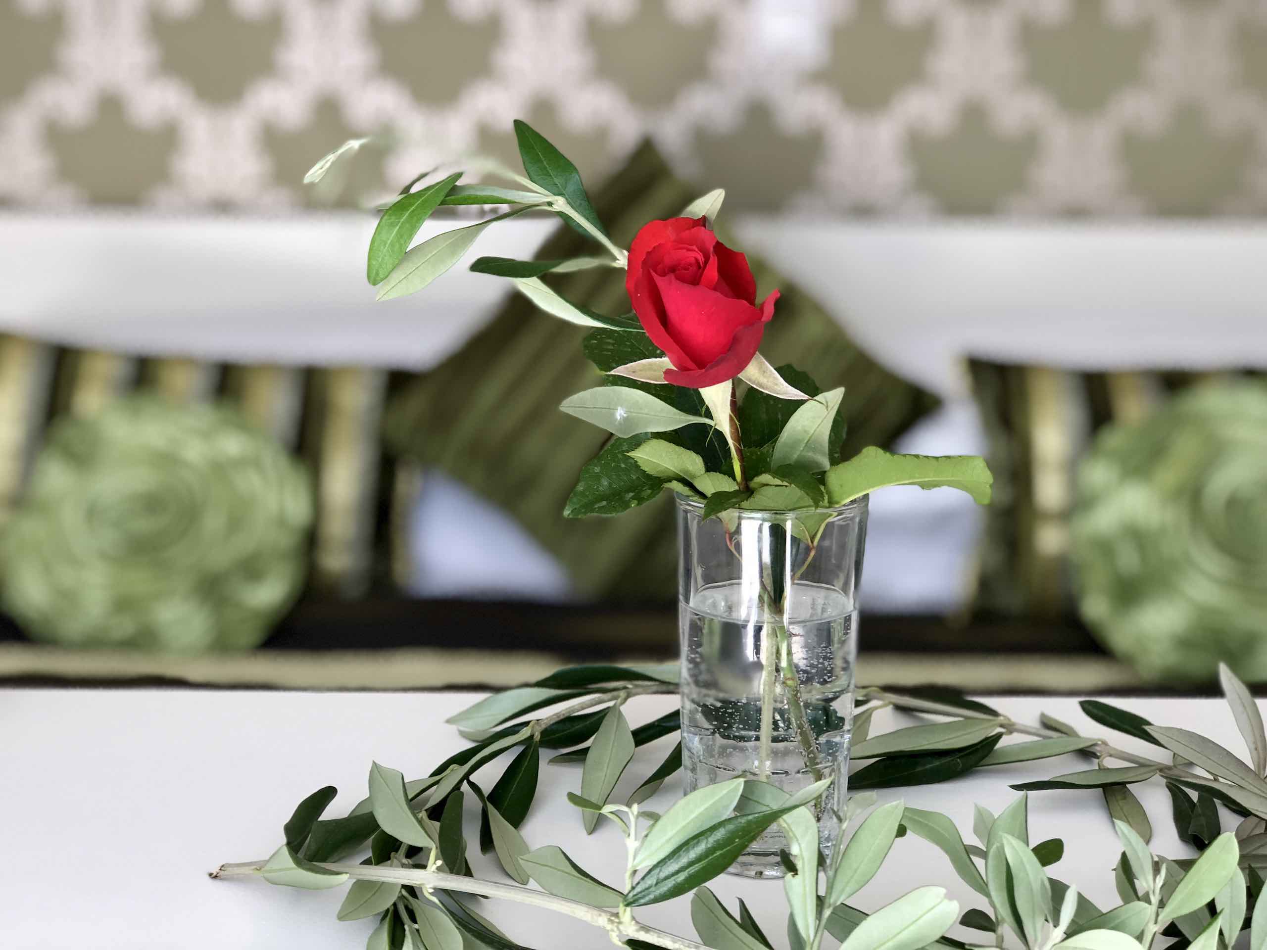 Contemporary villa Kefalonia